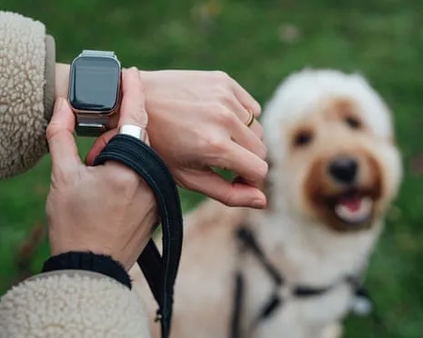 The Reality Concerning Smartwatches? Life Feels Fuller Without a Bossy Zealot on Your Wrist